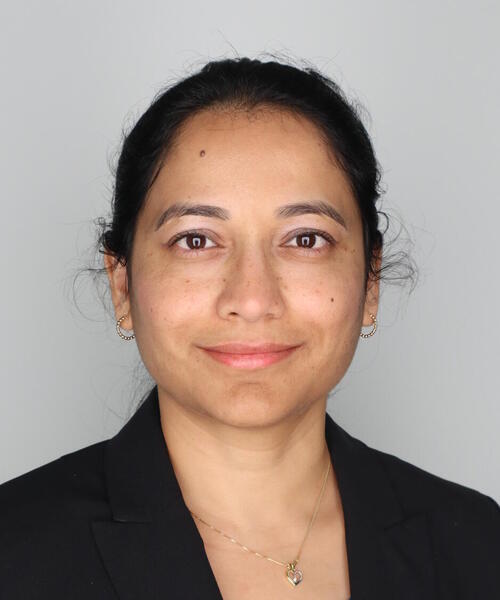 Hema Narayanasamy