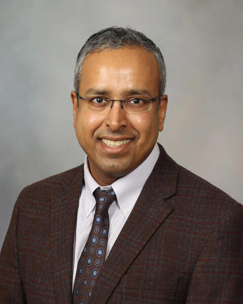 Vivek N. Iyer