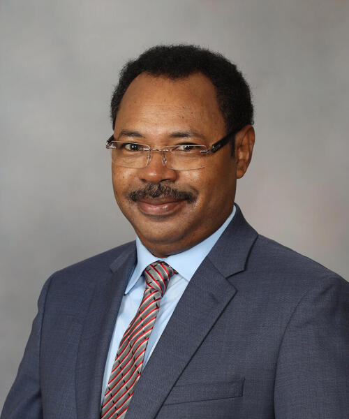 Ahmed D. Abdalrhim