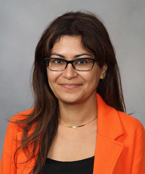 Meghna P. Mansukhani
