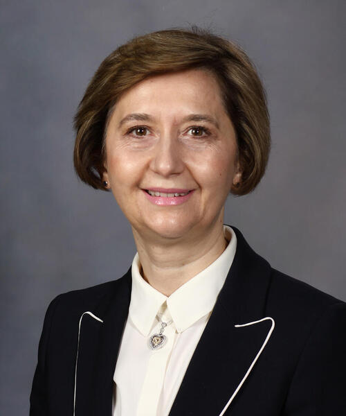 Iasmina M. Craici