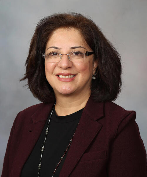 Afsaneh Alavi