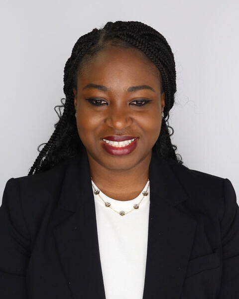 Demilade A. Adedinsewo