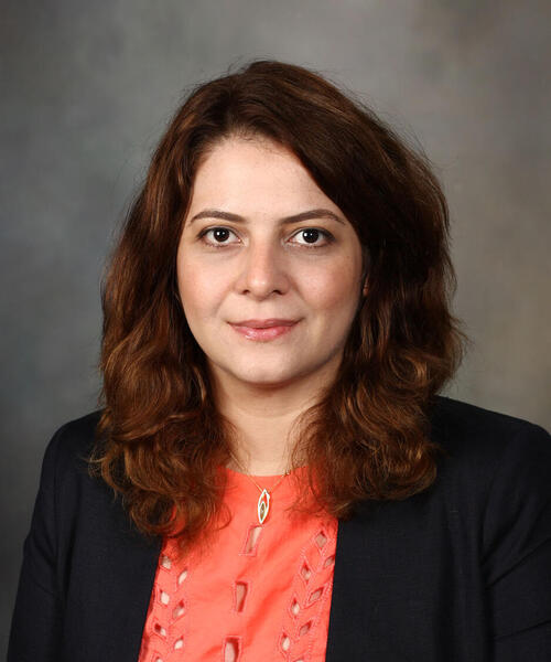 Nessa Aghazadeh Mohandesi